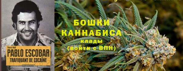 экстази Горняк