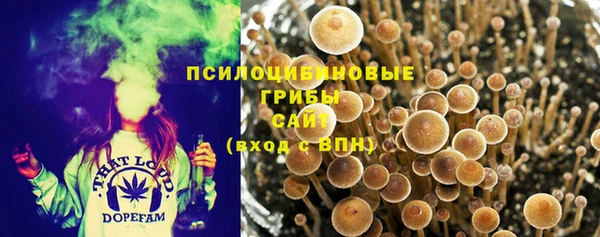 экстази Горняк